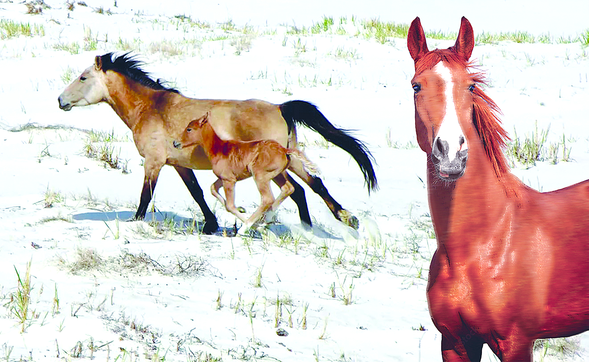 Minýge kerek qazanat...