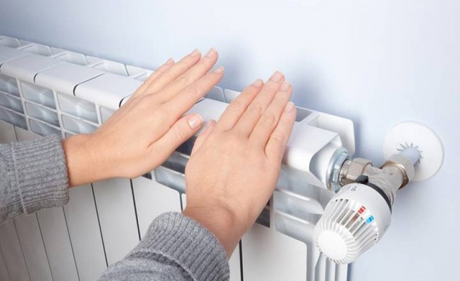 Mańyzdy nysandar maýsymǵa daıyn ba?