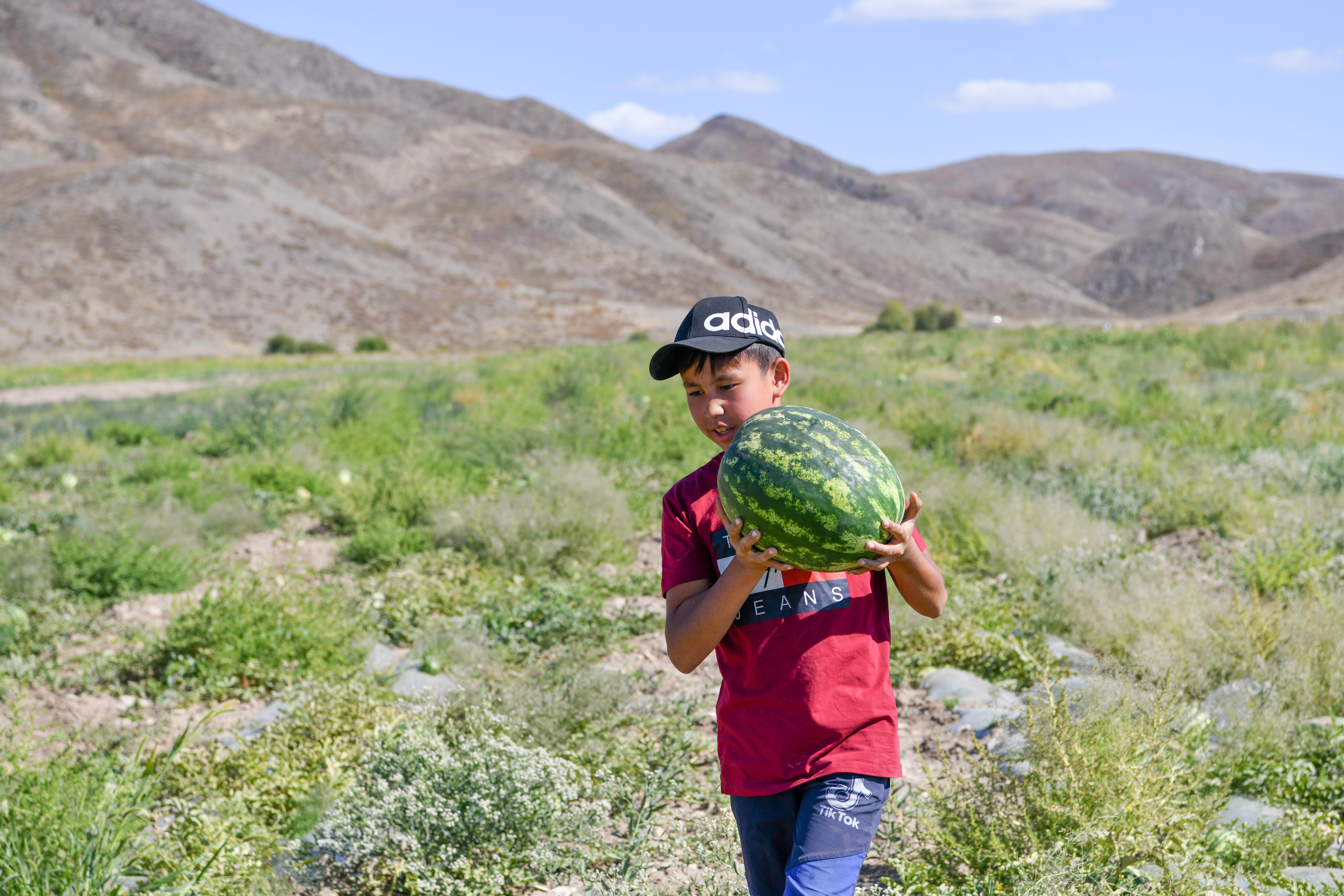 Ashynǵan sharýanyń ashy daýysy