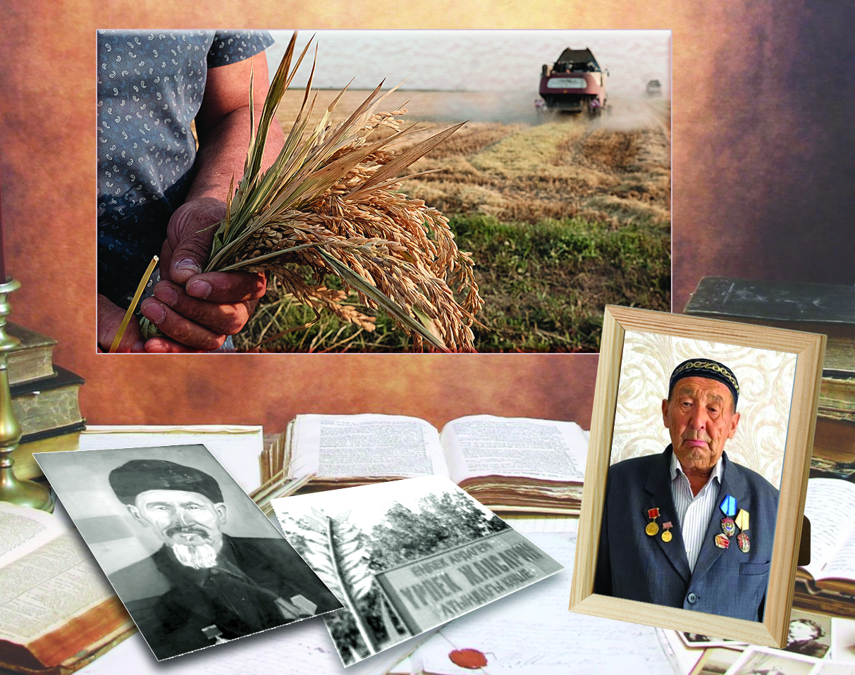 Isi dara eńbek adamy