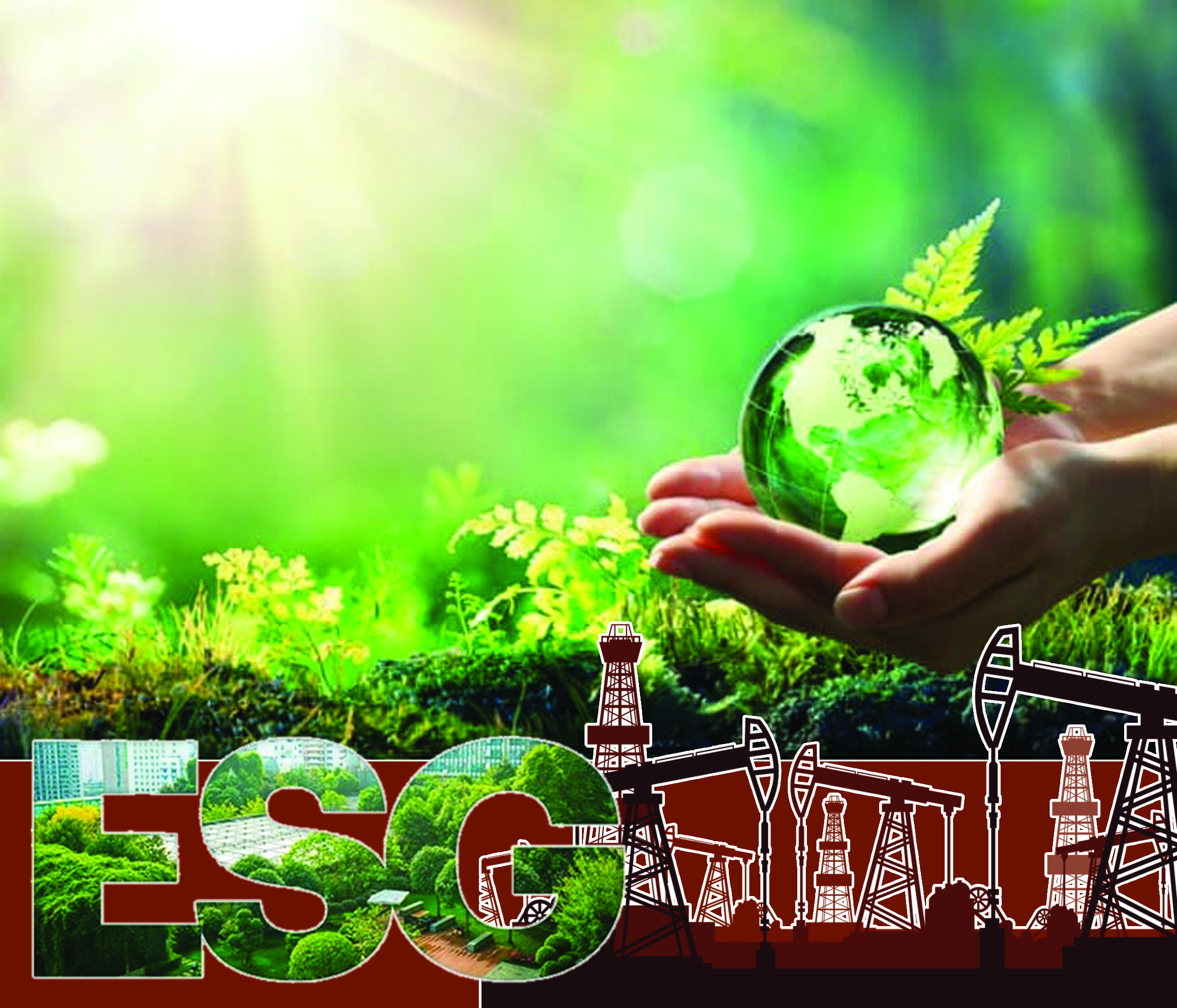 Mazmuny tereń «turaqty damý»