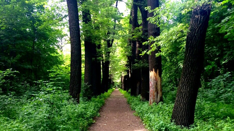 Jasyl qorǵa – keshendi kózqaras