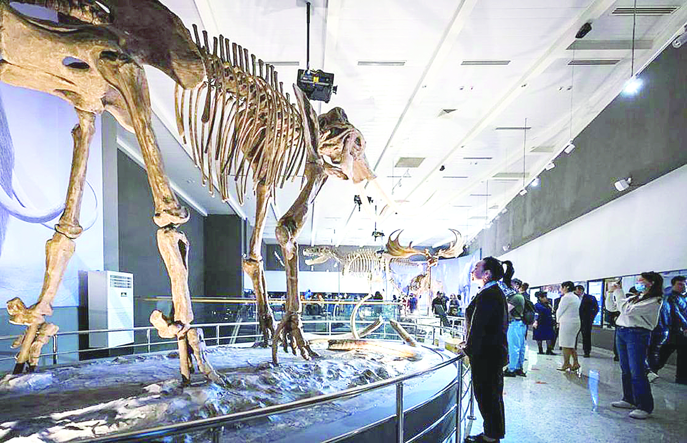 Ulttyq mýzeıdi 310 myń adam tamashalaǵan