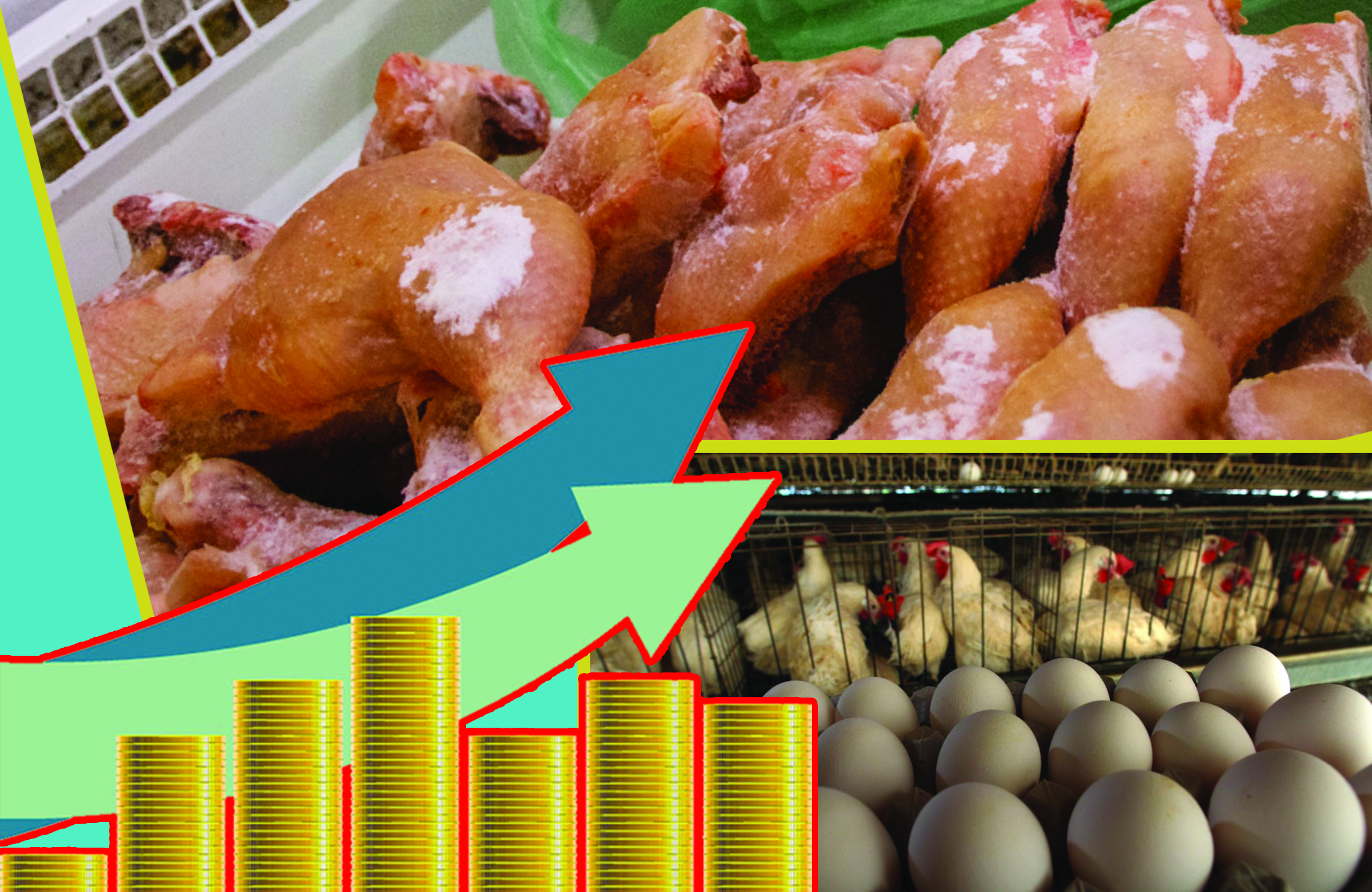 Qus eti nege qymbat?