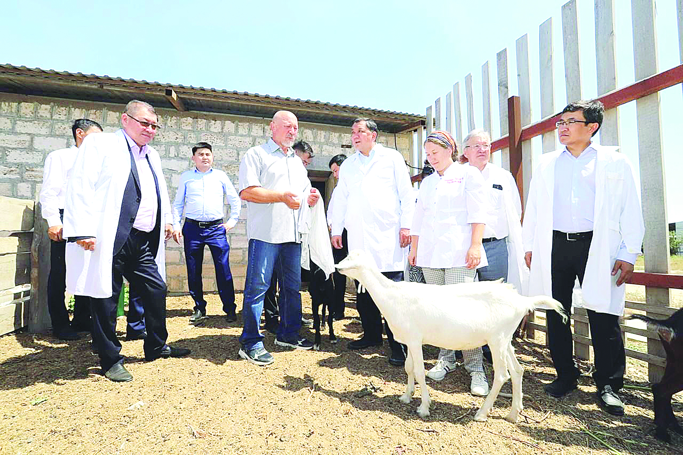 «Jeti laqtyń» órisi keńeımek