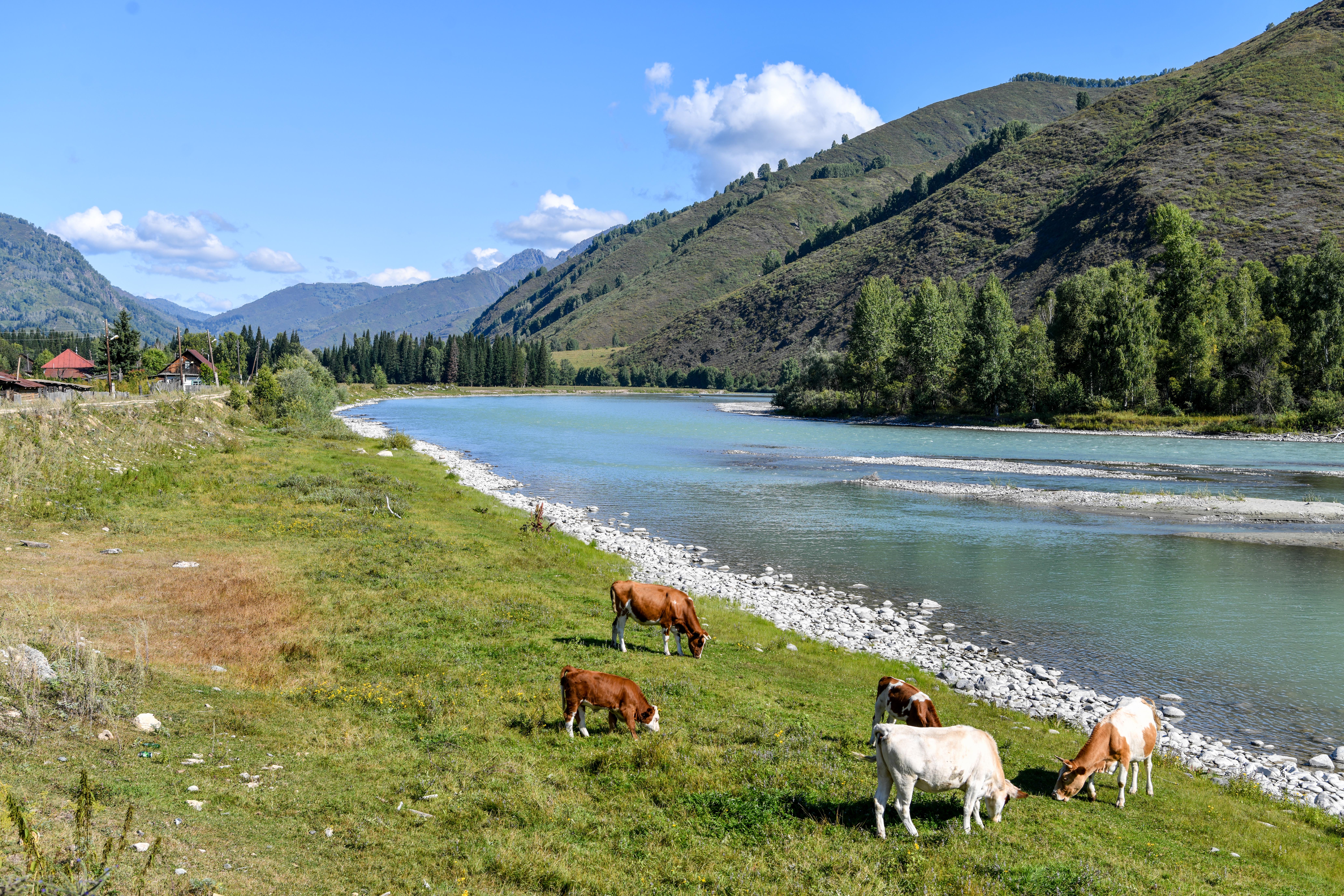 Jaıylym tapshylyǵy sheshile bastady