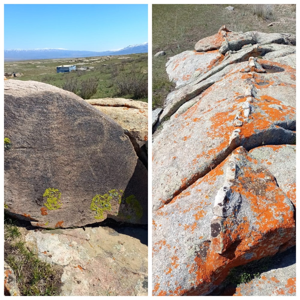 Jetisý qundylyqtaryn baǵalaýǵa ynta kerek