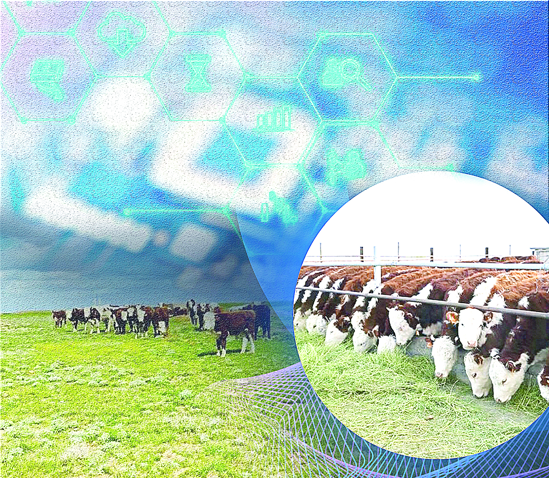 Qazaqaqbas brendi jáne sıfrlyq platforma