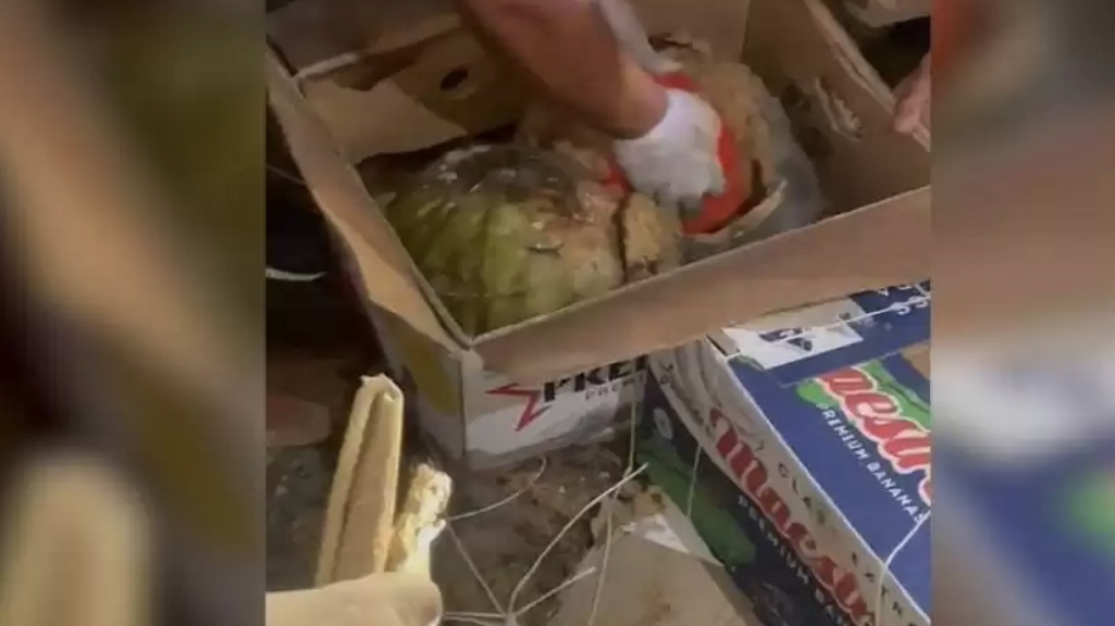 Júk kóligine tıelgen qarbyz arasynan esirtkiniń iri partııasy tabyldy