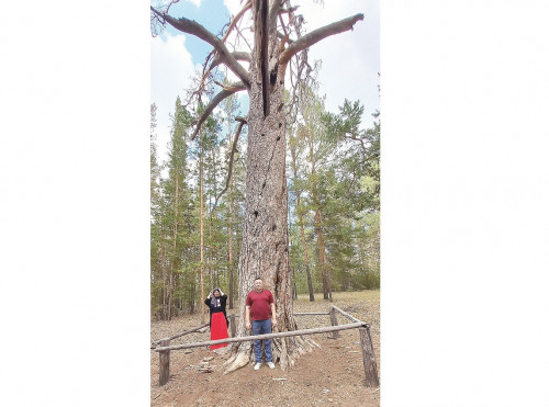 «Orman batyry» tilegińdi oryndaıdy