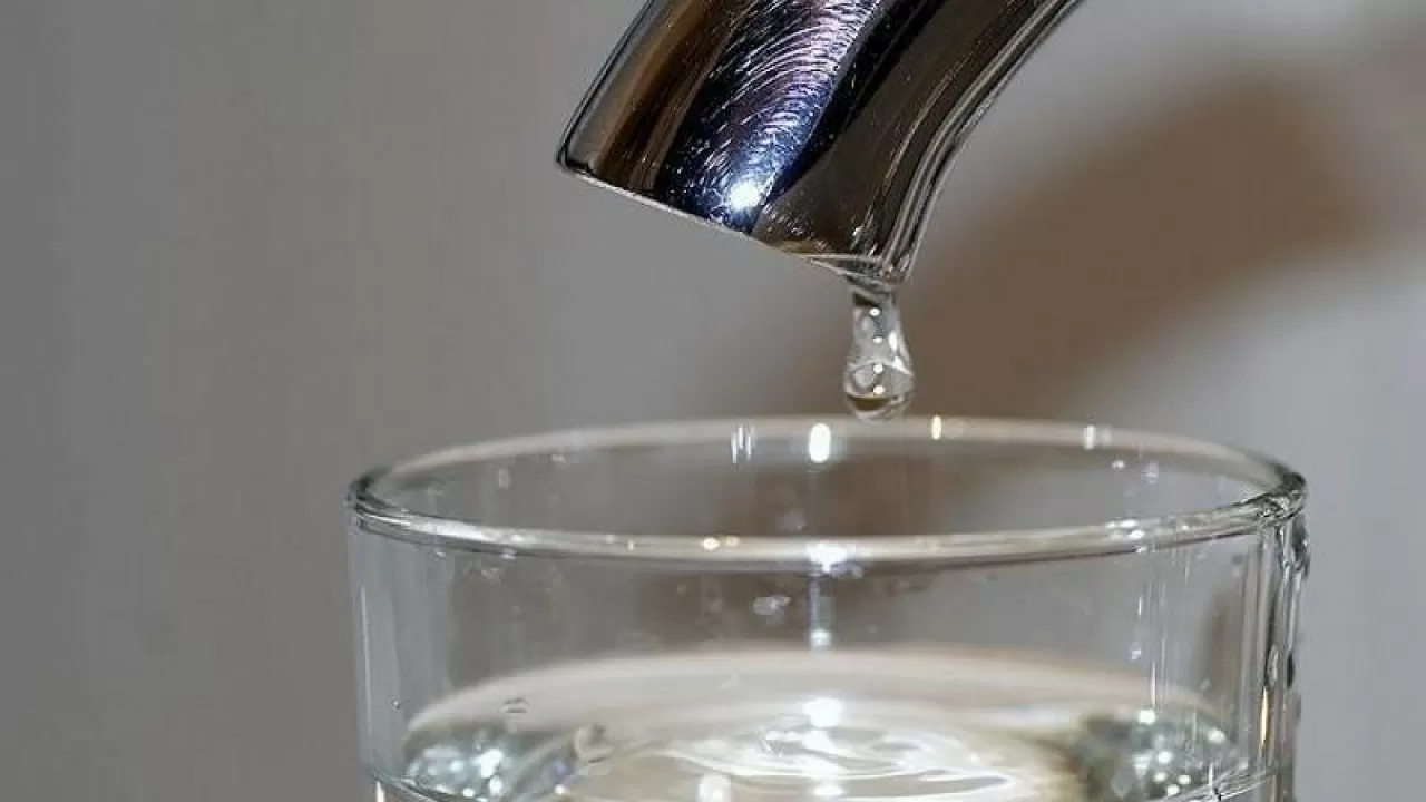 Tamshylatyp  sýarý tıimdi