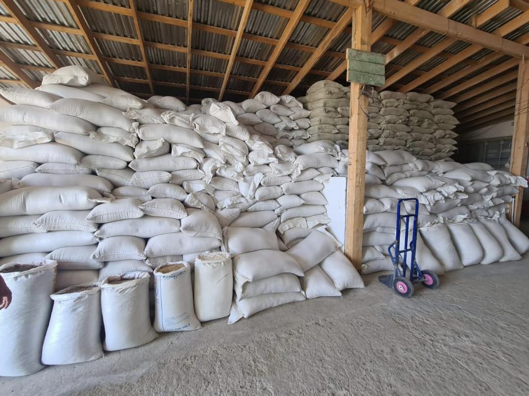 Quramajem óndirýdi qolǵa aldy