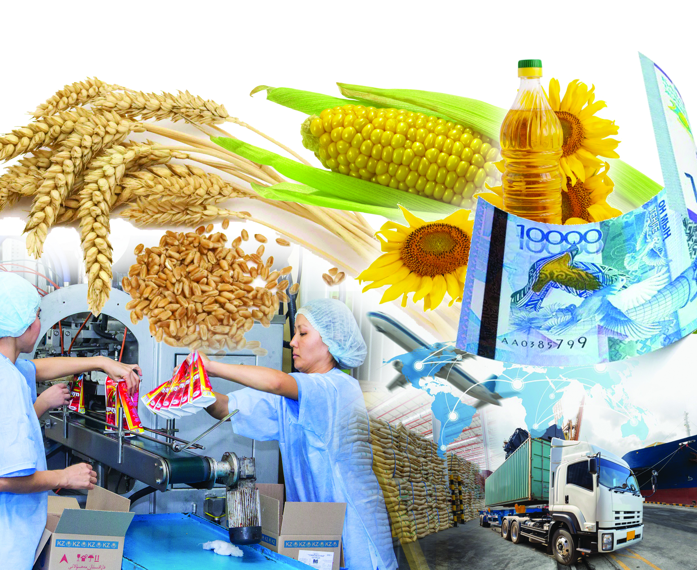 Arzan sheteldik taýardyń arbaýy