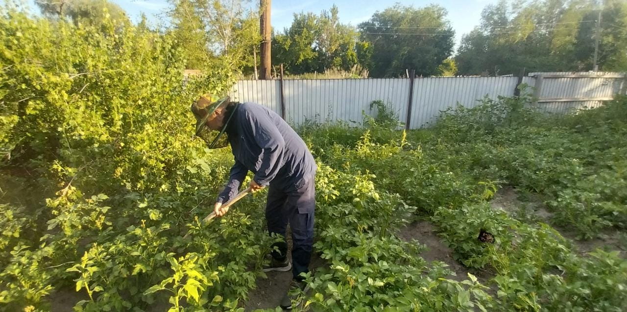 Masa maza bermeı tur