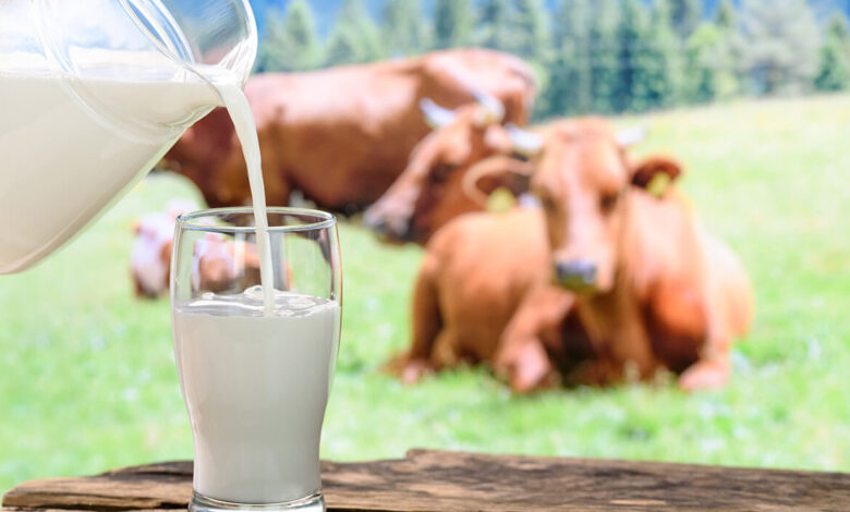 Sútke de zárýlik basym