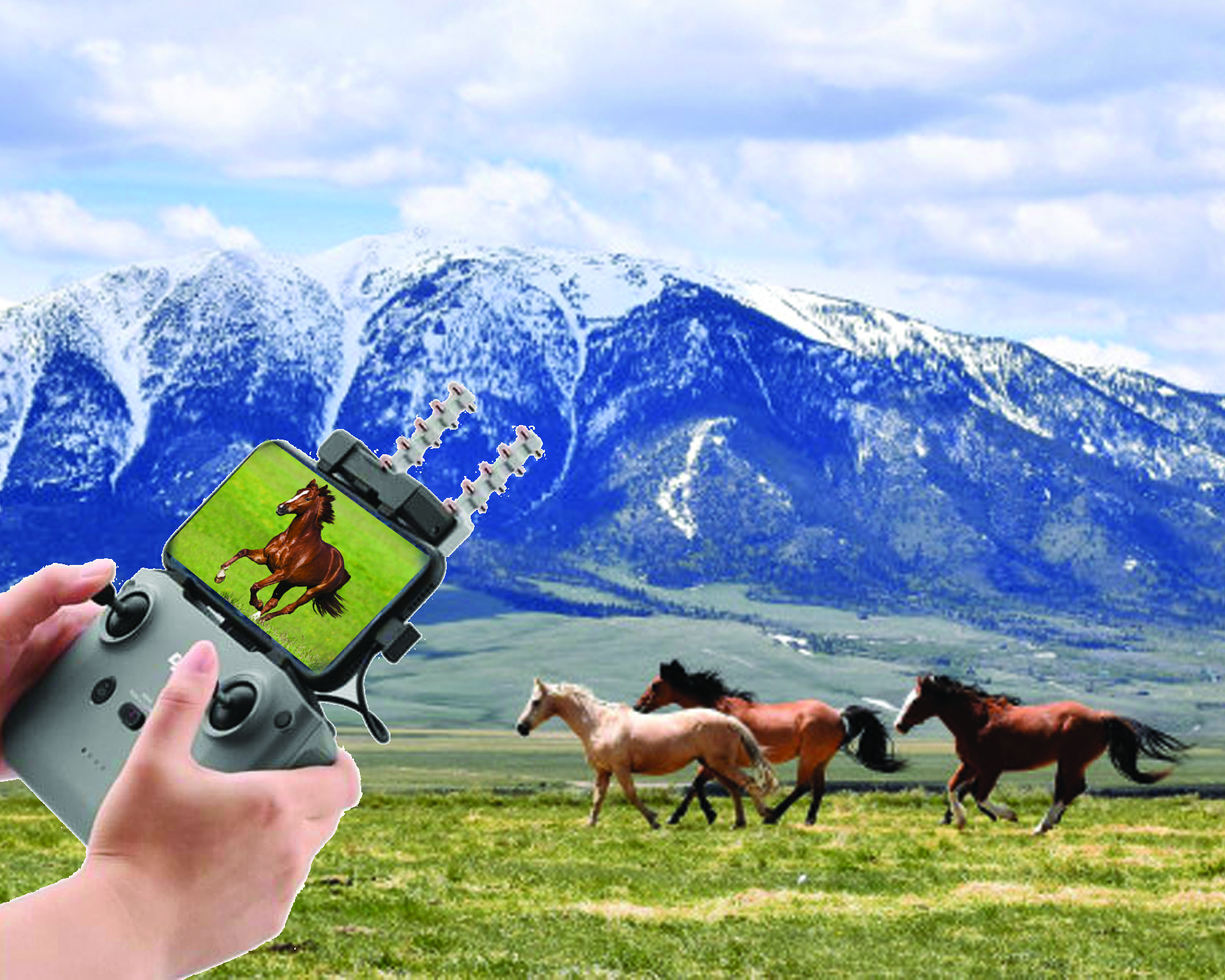 Mal sharýashylyǵyn basqarýdyń ońtaıly joly