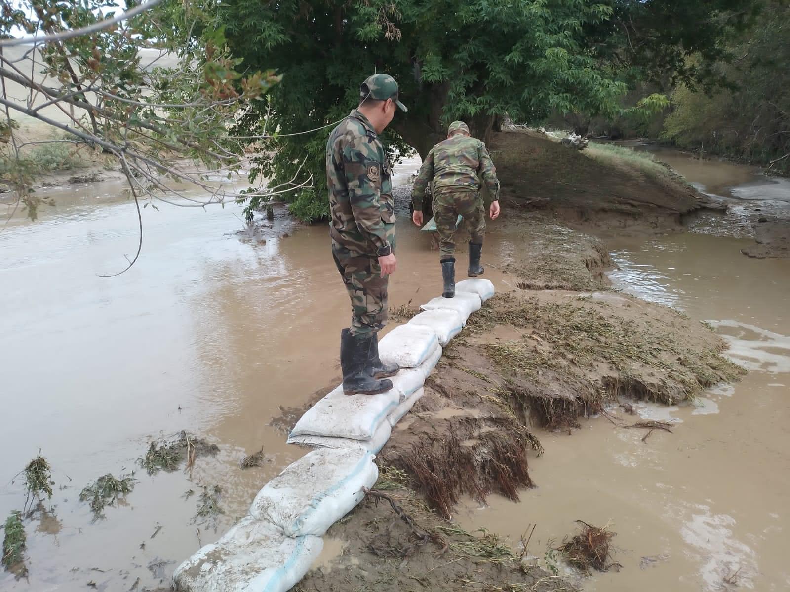 Tabıǵı apat saldarymen kúres jalǵasyp jatyr