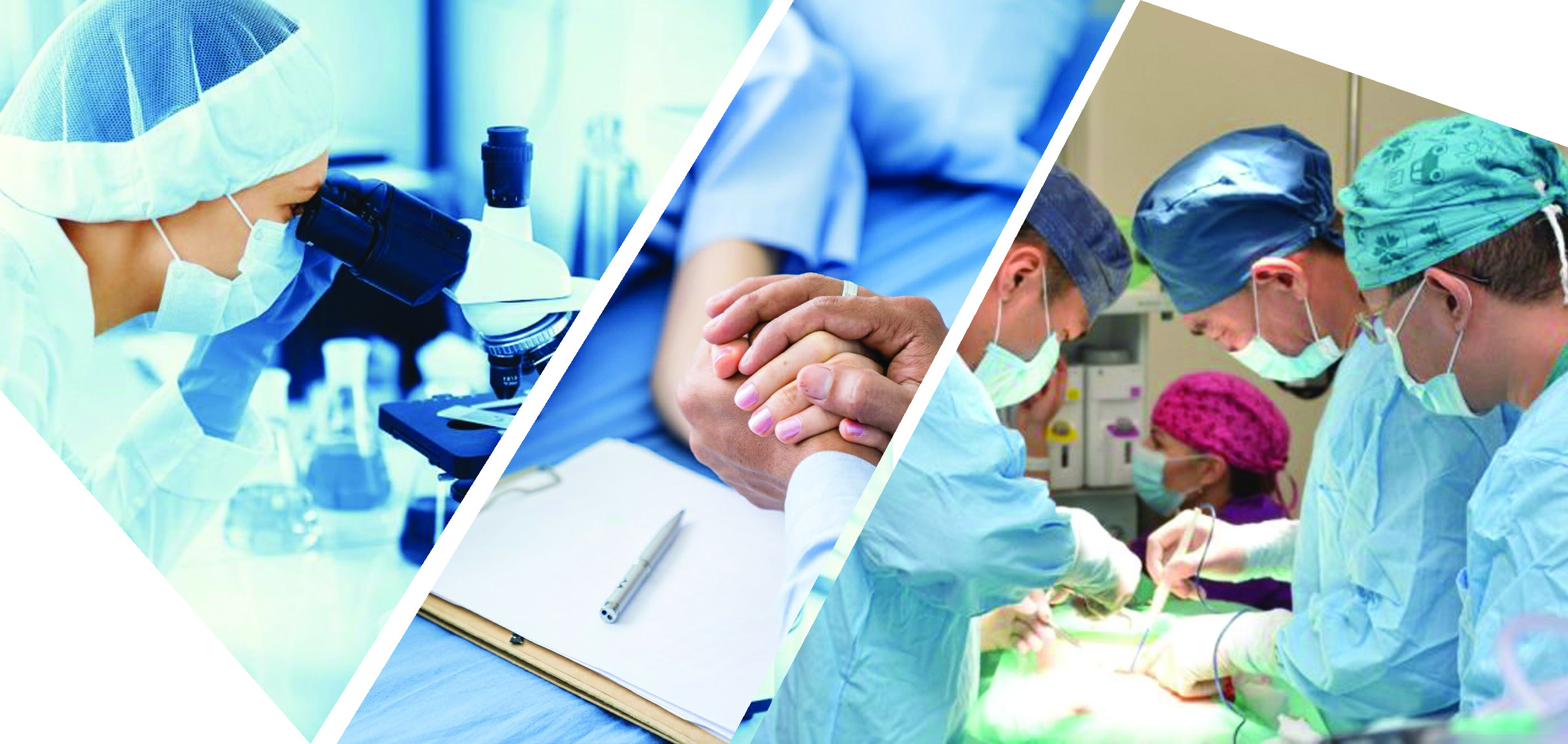 Ertis-Baıan óńirinde  obyr órship tur