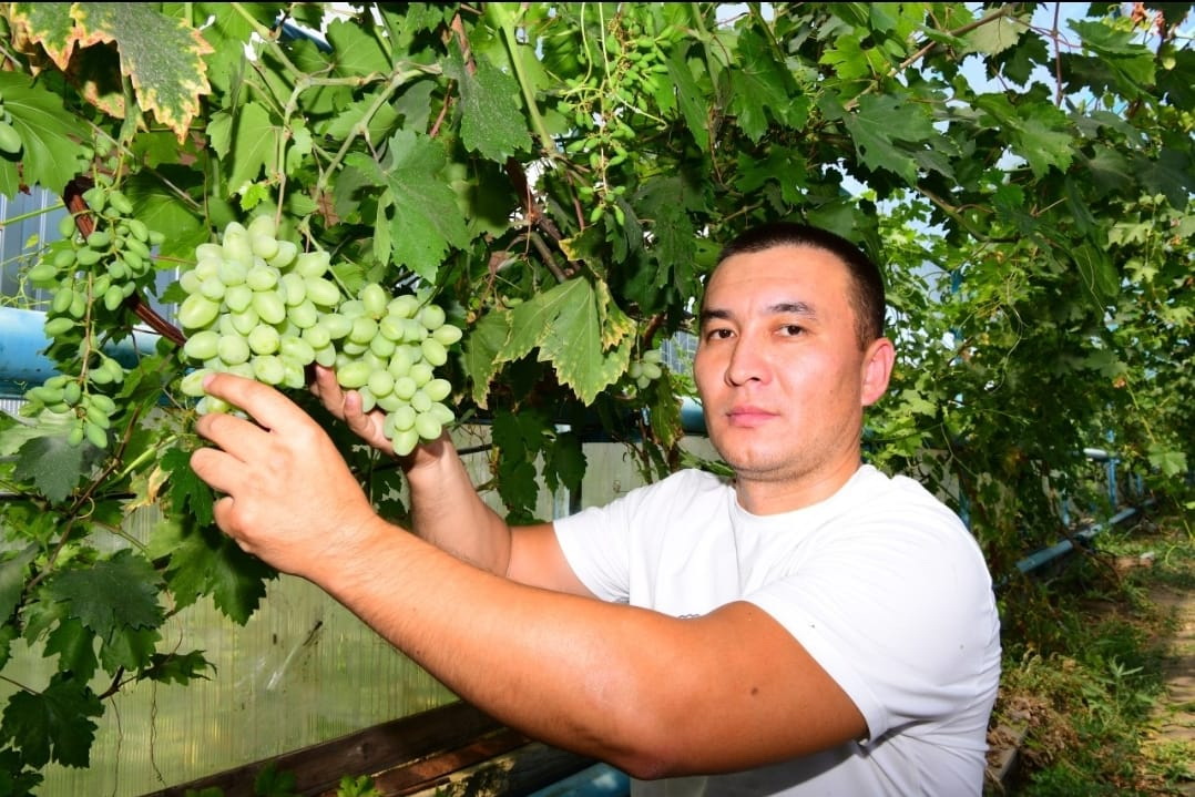 Aýyldy túletetin nyq qadam