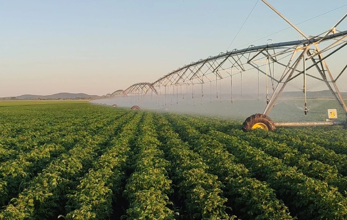 Sýarmaly egistiń rızyǵy mol