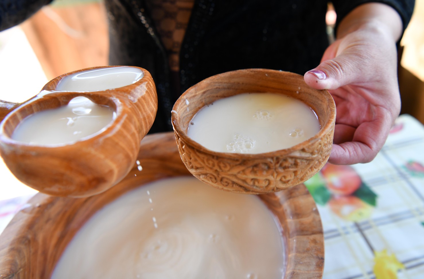 Bıe sútiniń shıpalyq qasıetin zerdelegen