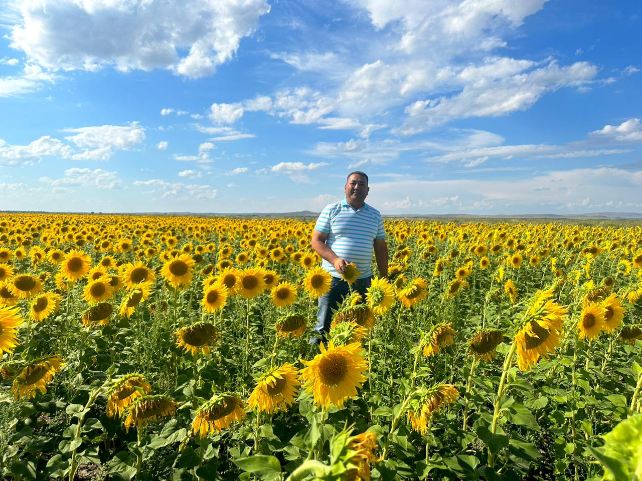 Kúnbaǵys jaıqalyp tur