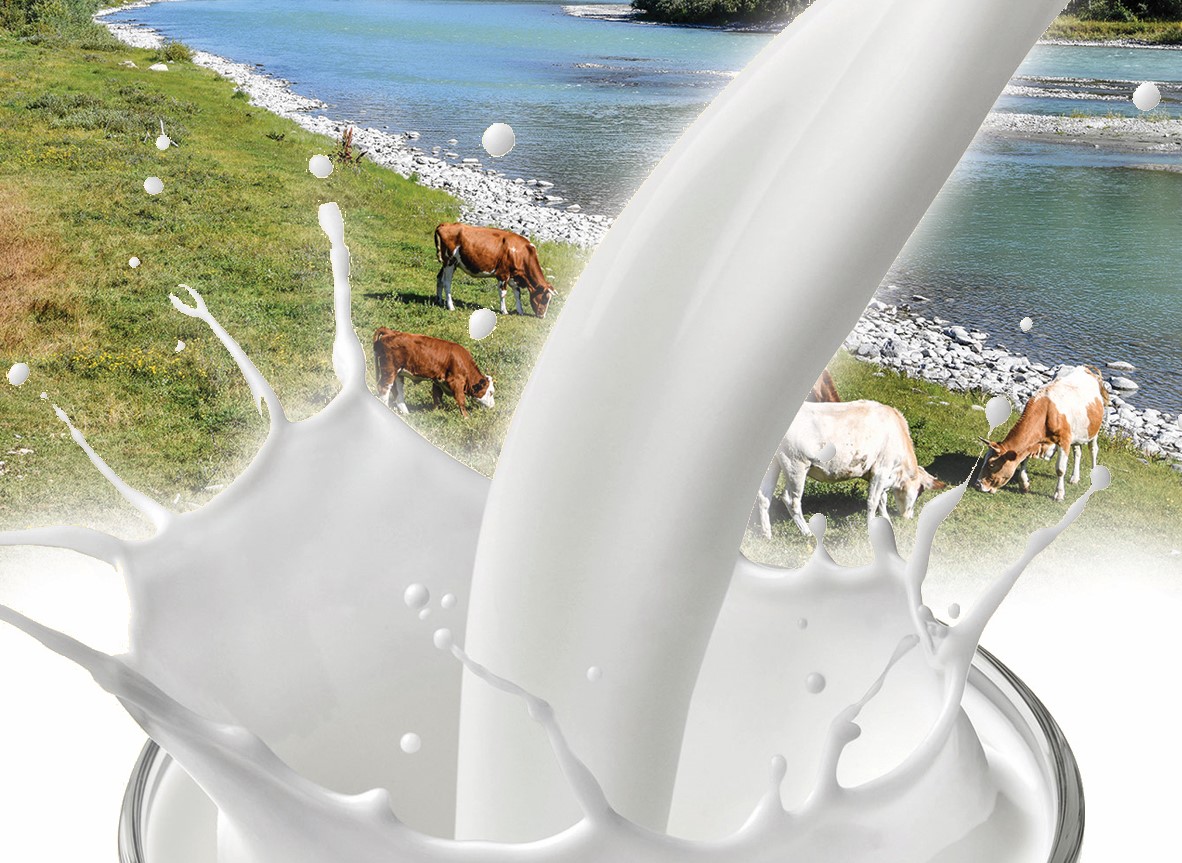 Tamaq ónerkásibin ınvestısııalaý mańyzdy