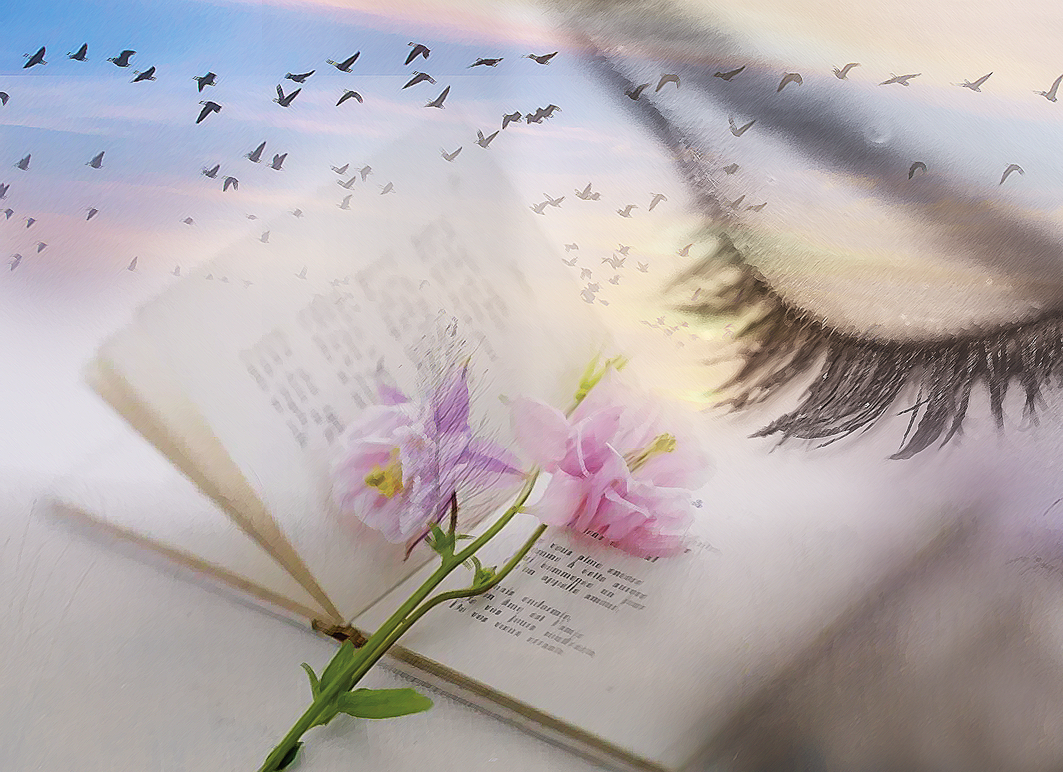 «Kóktem seniń kózińde júr sirkirep»