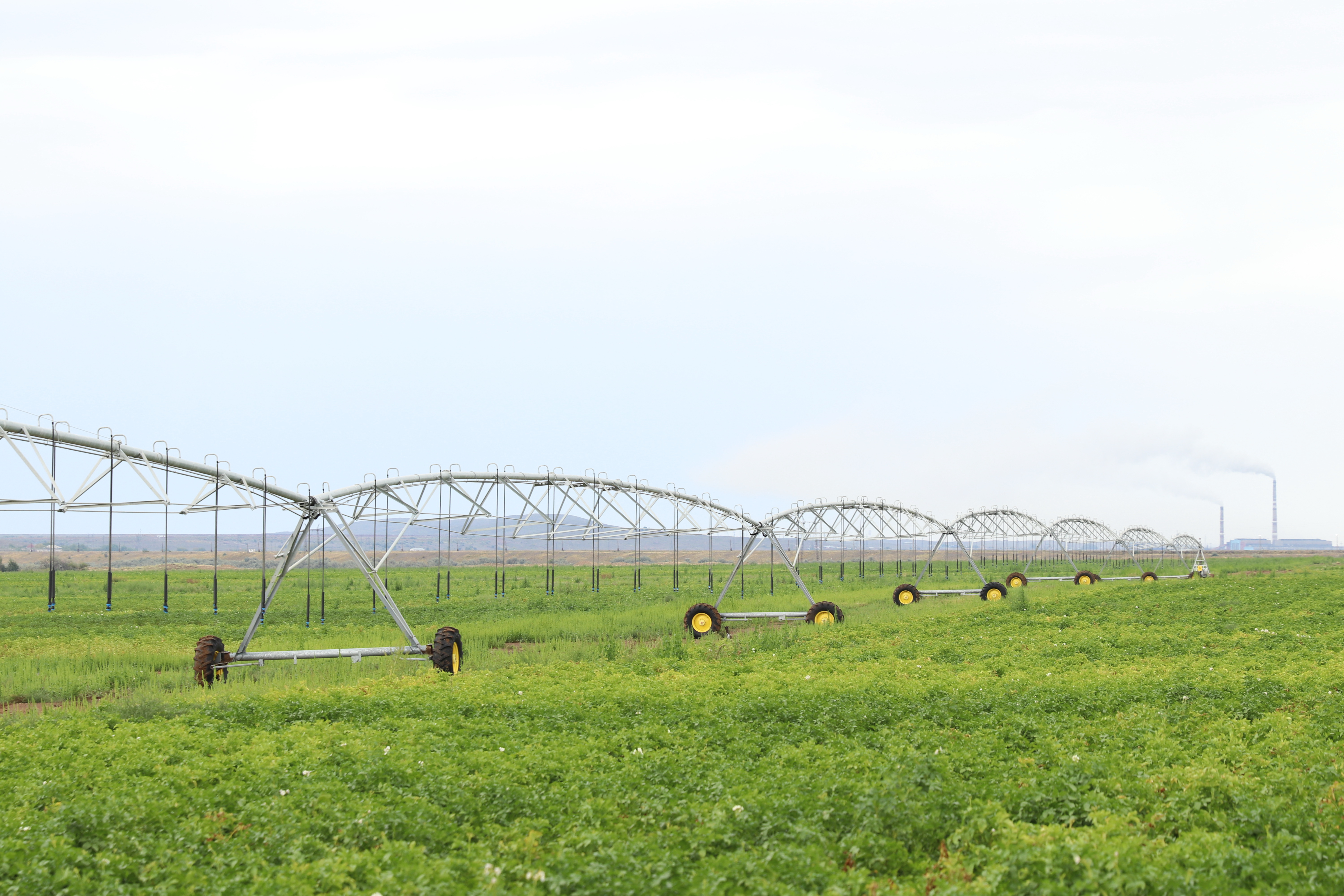 Sýarmaly alqap kólemi ulǵaıady