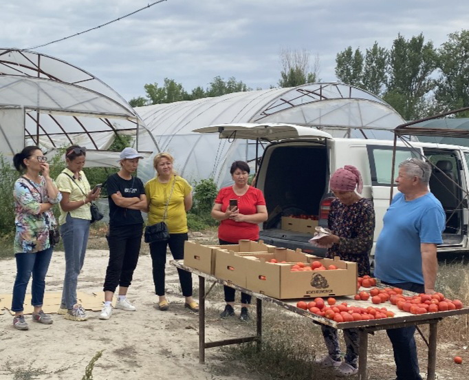 Kókónisshiler tájirıbe almasty