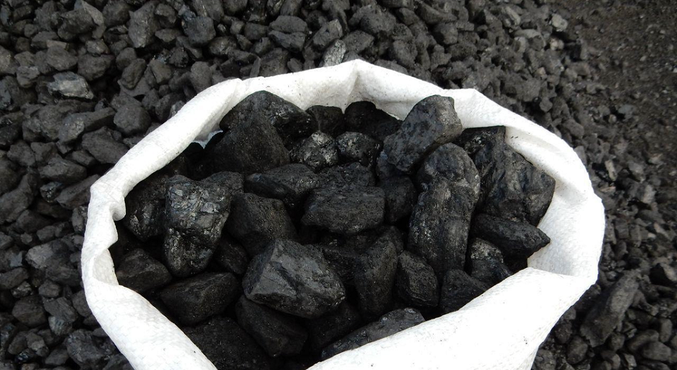 Kómir baǵasy  kóńil jylytpaıdy