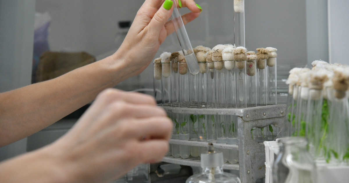 Agroǵylymdy naqty qoldaý jemis beredi