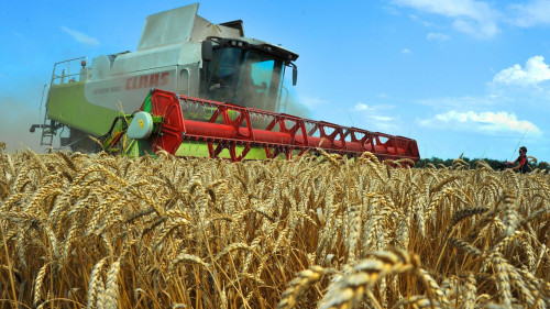 Jıyn-terimniń jospary qomaqty