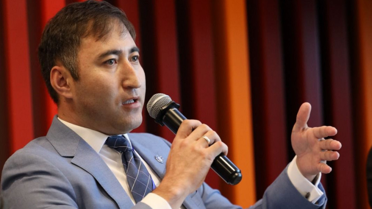 Ulttyq qaýipsizdiktiń tarmaǵy