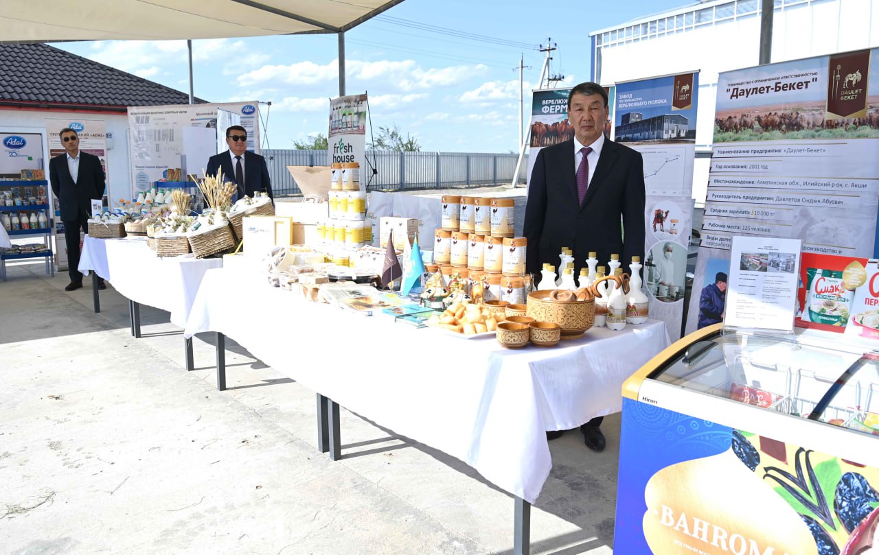 Prezıdent kórmede shubattan dám tatty