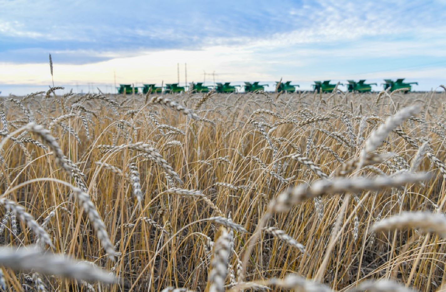 Astyq dıplomatııasy: Upaıymyz túgel me?