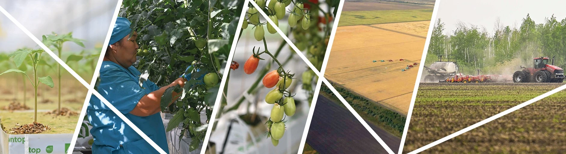 Agroǵylym bıznestiń áleýmettik júktemesine aınalsa...