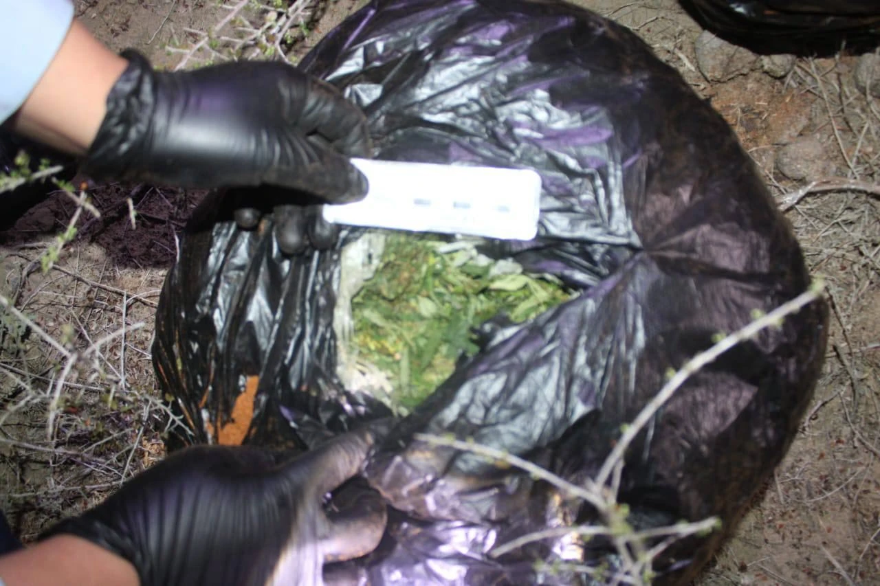 Qyzylordada esirtki tasymaldaǵan eki azamat ustaldy