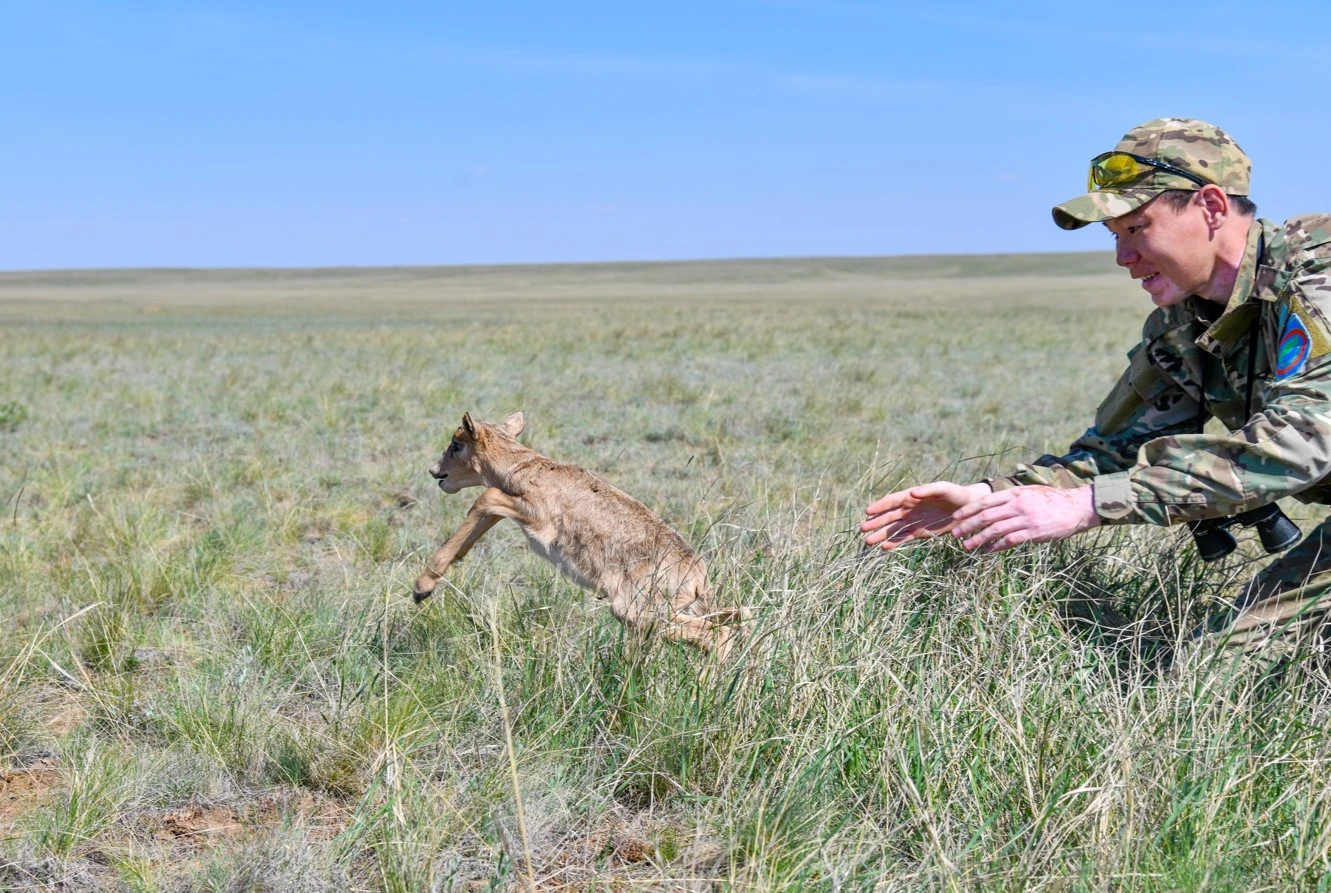 Taptalǵan eginimizdiń sebepkeri