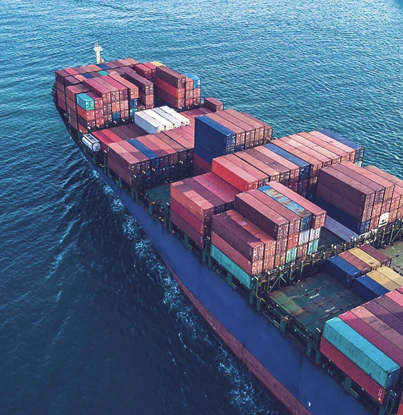 Teńiz tasymaly ulǵaıdy