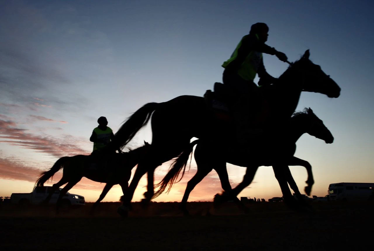 «Uly dala joryǵy»: Jambyl oblysynyń komandasy báıgeden  shyǵyp qaldy