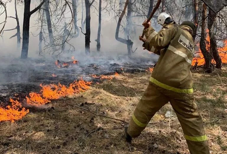 Orman otqa oranbasyn deńiz...