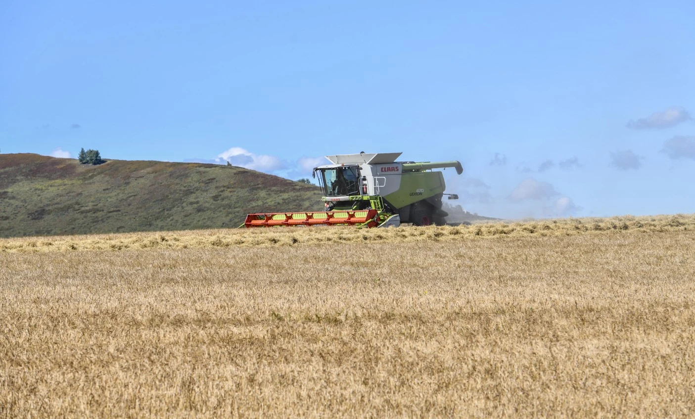 Astyqty qutqarý amaly