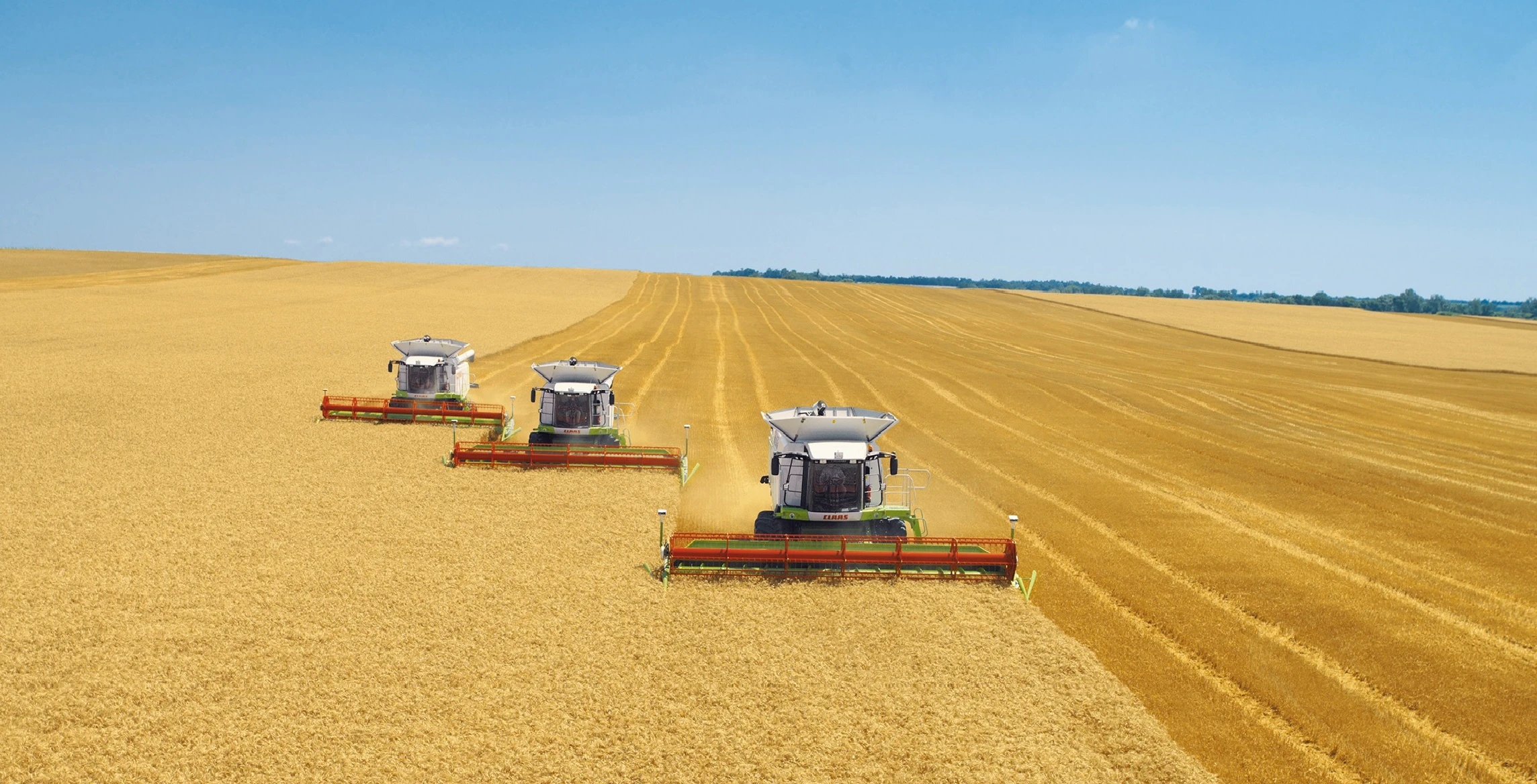 Astyq úshin arpalys