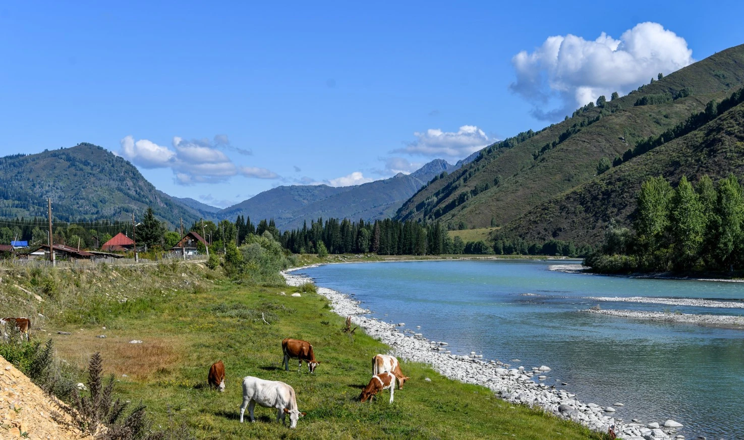 Birlesken iste bereke bar