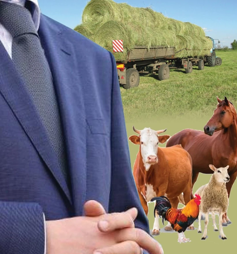 Taǵy da latıfýndıstiń aty ozdy...