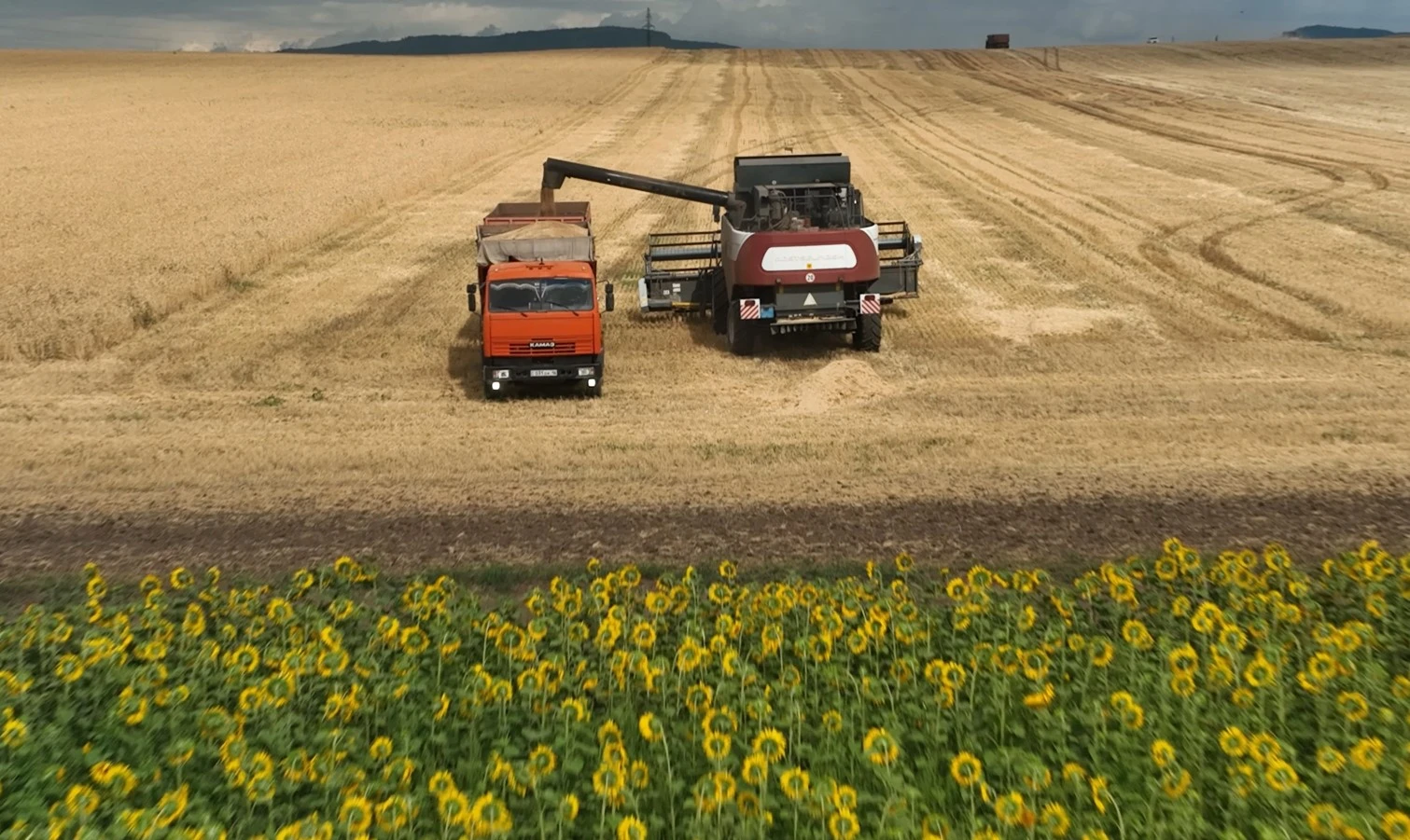 Aitas Agro: Kúrdeli jyl bolsa da kúterimiz kóp