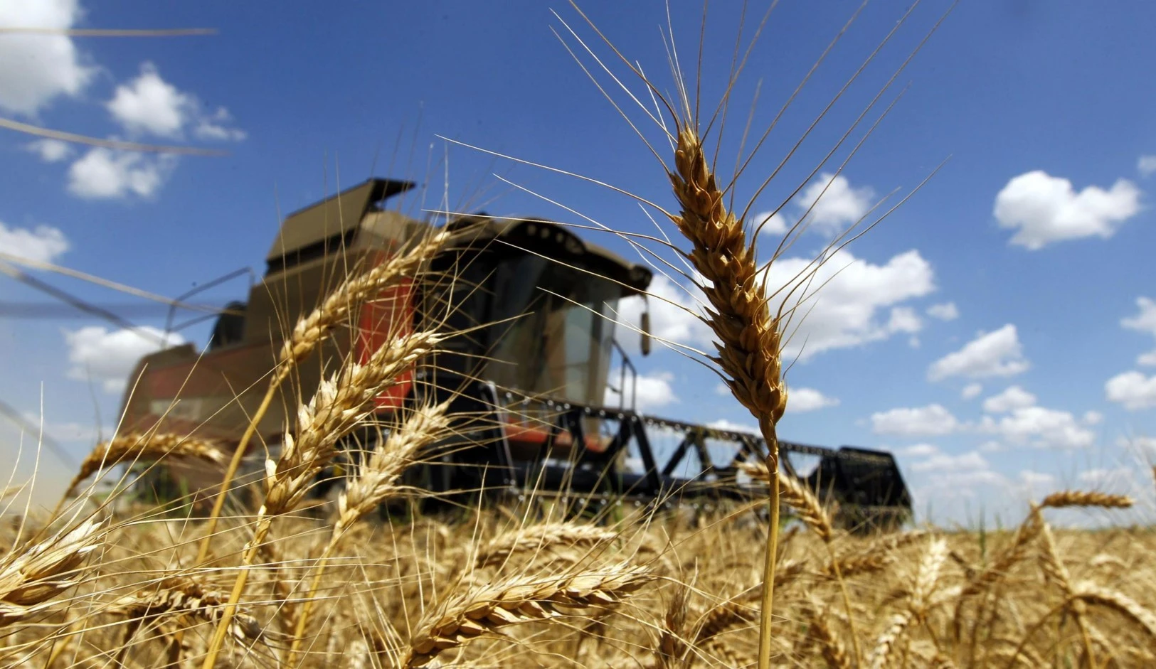 Eginshilerdiń qarqyny nege baıaý?