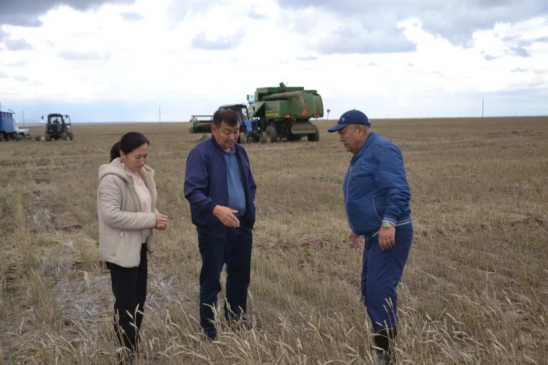 Syn saǵattaǵy sergeldeń