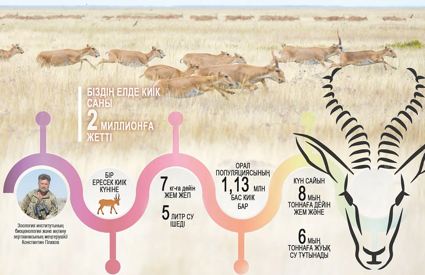 Jezkıik, bizdiń jaqqa beker keldiń...